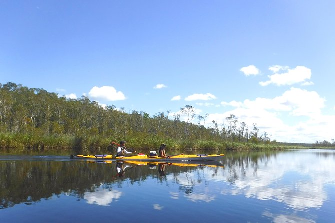 Full-Day Guided Noosa Everglades Kayak Tour - Reviews and Ratings