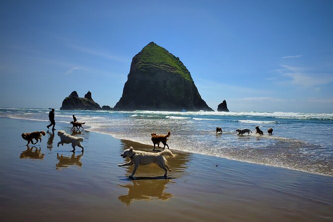 Full-Day Guided Oregon Coast Tour From Portland - Customer Reviews and Recommendations