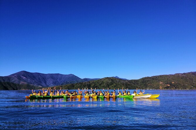 Full Day Guided Sea Kayak Tour From Picton - Traveler Reviews