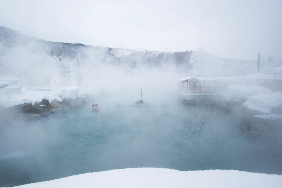 Full Day Ice Museum and Chena Hot Springs Tour - Geothermal Energy and Ice Museum Tour