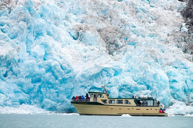 Full-Day Kenai Fjords National Park Northwestern Cruise - Glacial Encounters