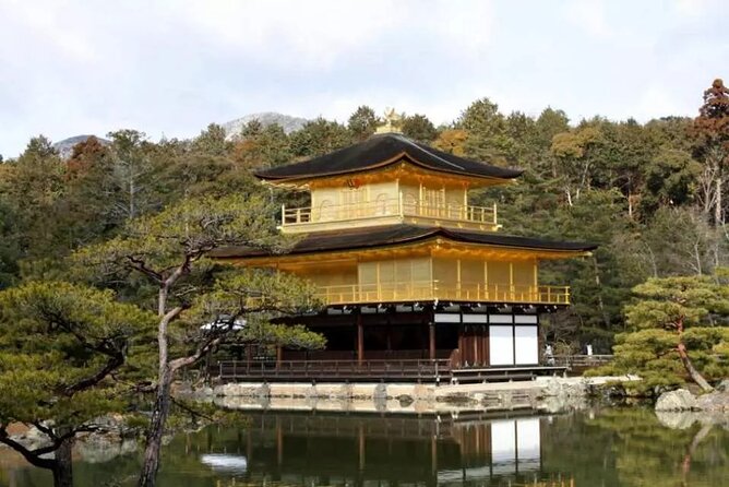 Full Day Kyoto and Nara Guided Tour - Cancellation Policy