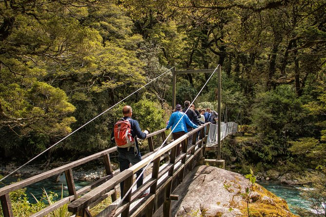 Full-Day Milford Sound Tour With Cruise and Walks From Te Anau - Tour Experience