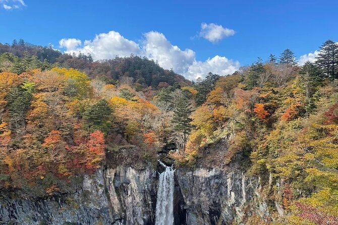 Full Day Nikko Private Tour With English Speaking Guide. - Booking Process