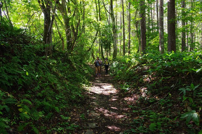 Full Day North Nagano Hiking Experience - Safety Guidelines