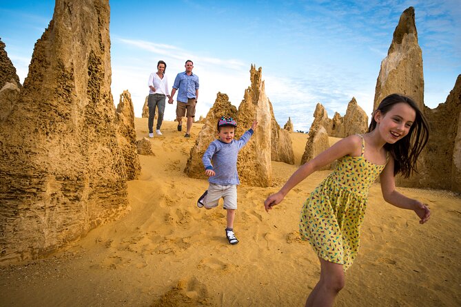 Full-Day Pinnacles Desert and Yanchep National Park Tour From Perth - Inclusions and Amenities