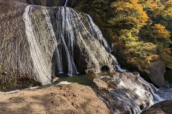Full-Day Private Adventure in Ibaraki and Fukuroda Waterfalls - Packing List