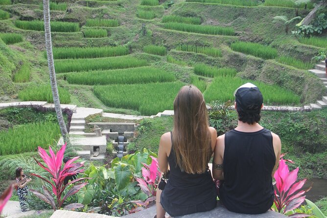 Full-Day Private Cultural Bali Tour Balinese Driver - Meal Inclusions