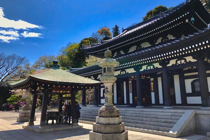 Full Day Private Discovering Tour in Kamakura - Contact Information