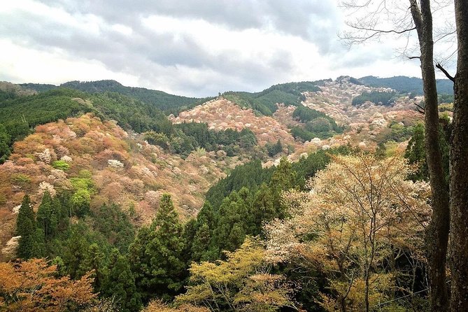 Full-Day Private Guided Tour in a Japanese Mountain: Yoshino, Nara - Additional Information