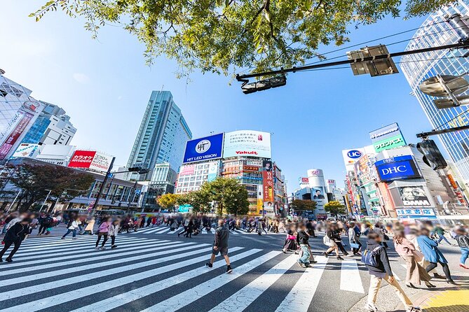 Full-Day Private Tour in New Shibuya - Booking Information