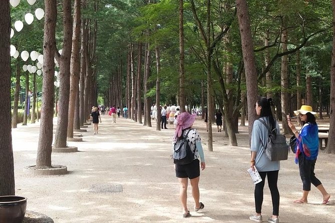 [ Full Day Private Tour ] Nami Island and Petite France - Recommended Packing List