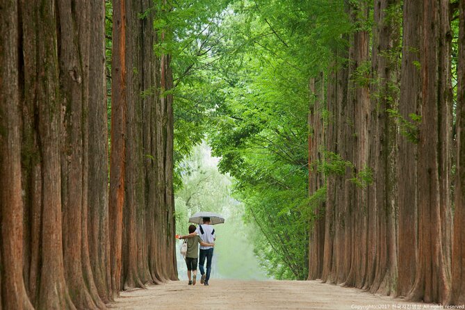 Full Day Private Tour Nami Island, Garden & Petite France - Customer Satisfaction and Experience