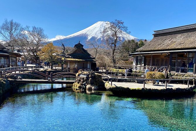 Full Day Private Tour of Mt Fuji and Hakone - Customer Reviews
