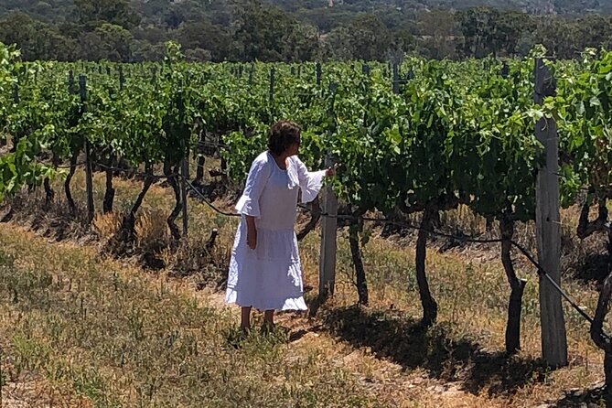 Full-Day Private Wine Tour of the Stanthorpe Area With Lunch - Traveler Support