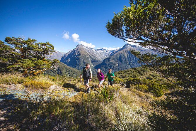 Full-Day Routeburn Track Key Summit Guided Walk From Te Anau - Additional Information