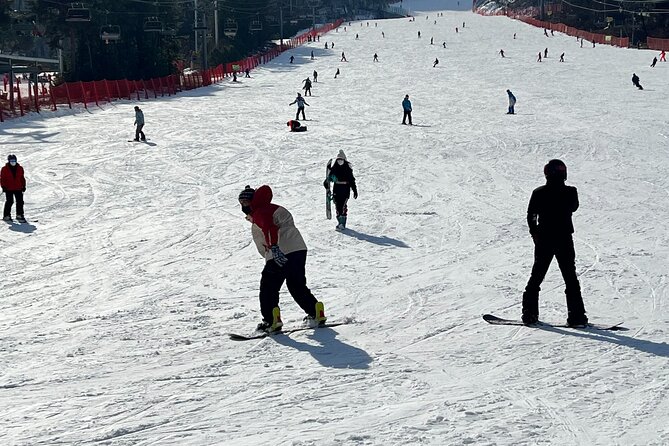 Full Day Ski Tour From Seoul to Yongpyong Ski Resort - Additional Services and Features