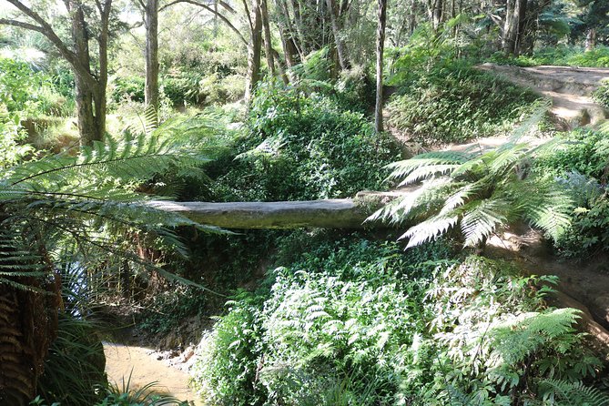 Full-Day Small-Group Glowworm Exploration Tour in New Zealand - Booking and Cancellation Policy