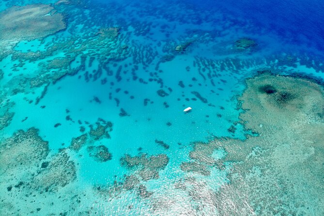 Full-Day Small-Group Guided Snorkeling Tour, Outer Reef  - Port Douglas - Pricing and Operator Details