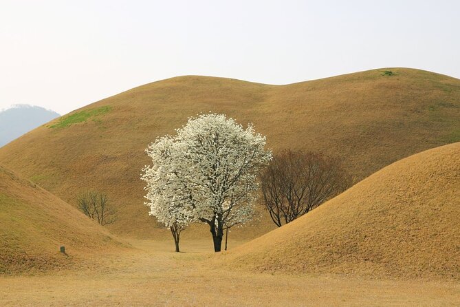 Full-Day Small Group Gyeongju History Tour From Seoul - Small Group Experience