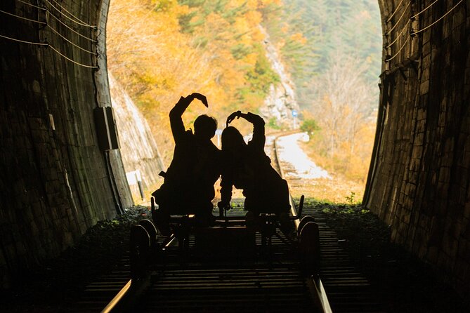 Full Day Strawberry Picking and Rail Bike in Nami Island - Terms and Conditions