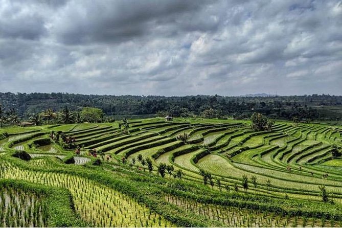 Full-Day Tour : Bedugul Temple, Banyumala Twin Waterfall, Jatiluwih Rice Terrace - Common questions