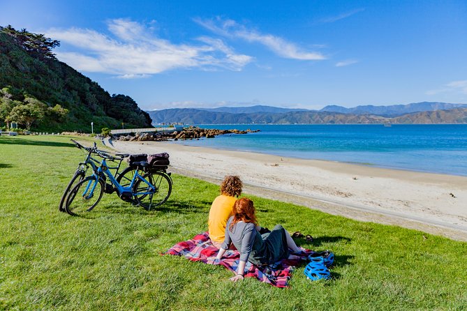 Full-Day Wellington Self-Guided Electric Bike Tour - Additional Information and Highlights