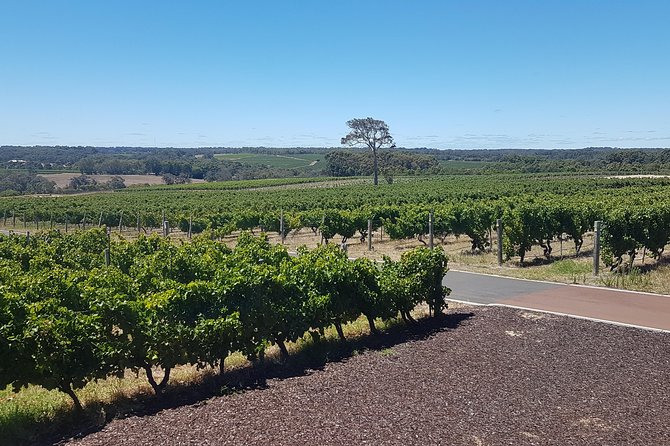 Full Day Winery and Brewery Tour in a Classic Silver Spirit Rolls Royce - Common questions