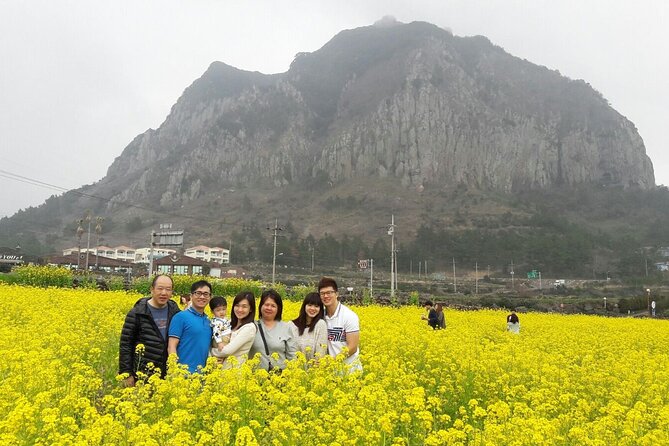 Full Package Tour of All Areas of Jeju Island-(East &South &West) - Contact and Support