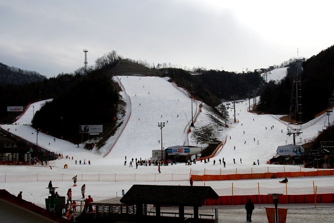Gangchon Elysian Ski Day Trip From Seoul - Sum Up
