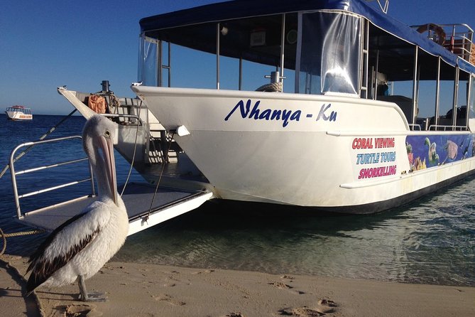 Glass-Bottomed Boat Reef Tour With Snorkeling, Coral Bay - Operator Details