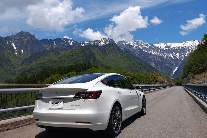 Go Anywhere With a Tesla Rental Car (Free Plan) - What to Expect During Your Rental