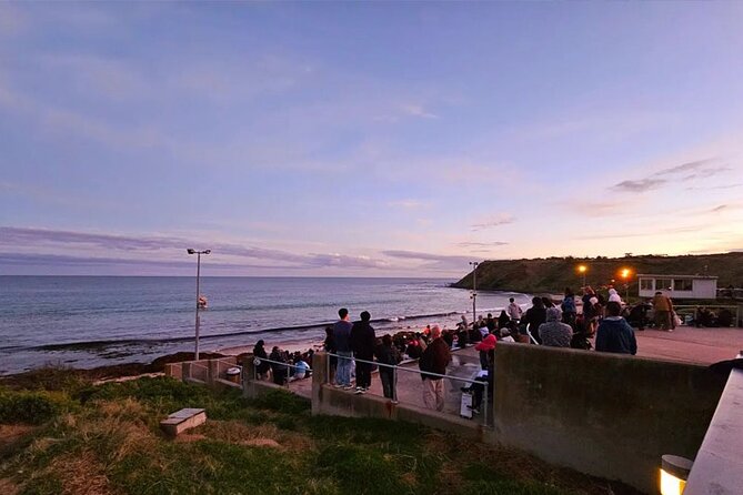 Golden Hour Penguins & Wine Tour With Pickups From Phillip Island - Cancellation Policy