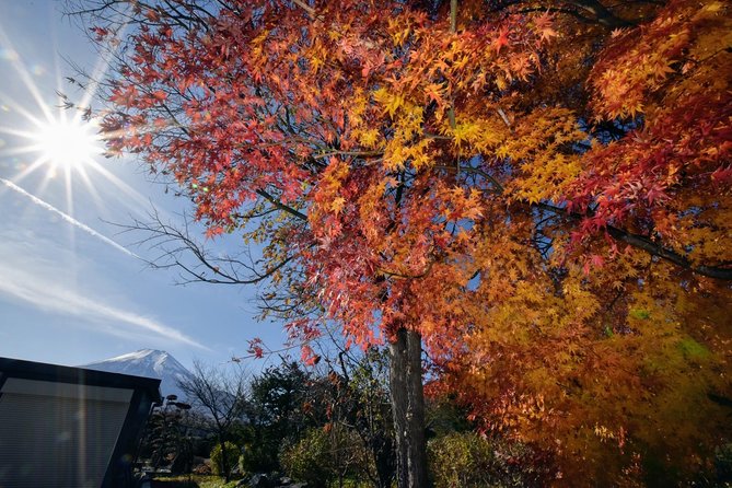 Gotemba Outlet Mall Plus Lake Kawaguchi or Hakone Tour by Chartered Van - Operational Process