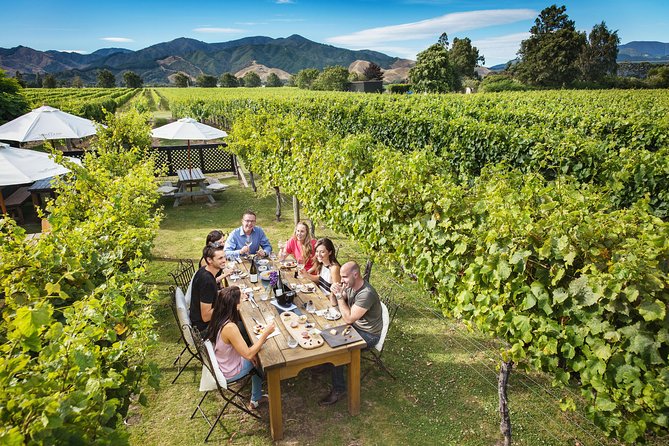 Gourmet Gold Winery Tour Marlborough - Full Day - Cancellation Policy
