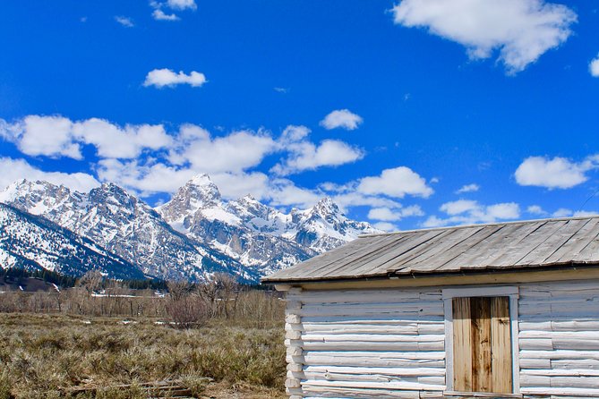 Grand Teton Half Day Tour - Booking Information