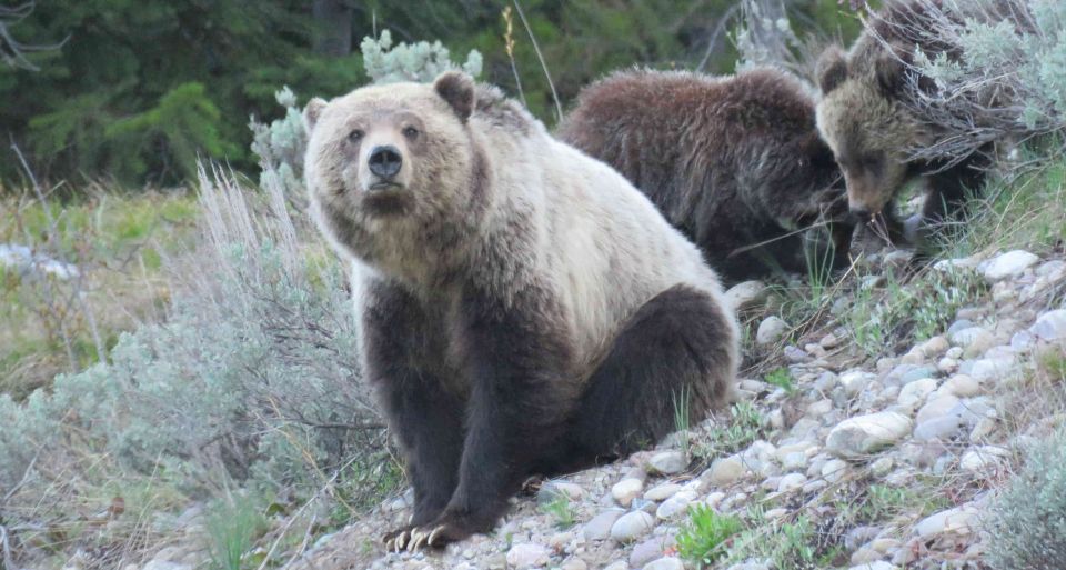 Grand Teton National Park: Full-Day Tour With Boat Ride - Additional Information