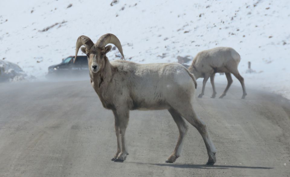 Grand Teton National Park: Wildlife Tour and Sleigh Ride - Location Details