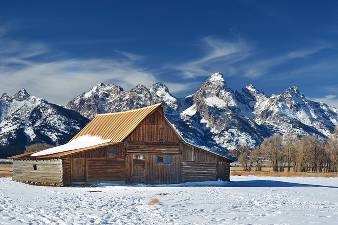 Grand Teton Wildlife Safari in a Enclosed or Open-Air Vehicle (Season Dependent) - Wildlife Spotting Opportunities