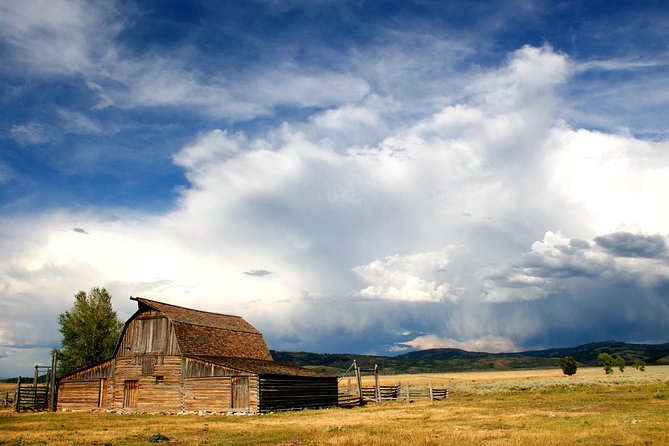 Grand Teton Wildlife Safari Tour - Reviews and Ratings