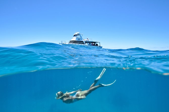 Great Barrier Reef Cruise From Townsville or Magnetic Island - Booking Requirements and Information