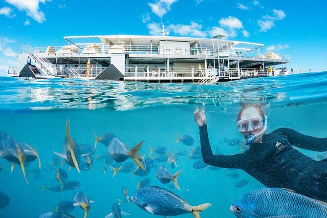 Great Barrier Reef Day Cruise to Reefworld - Snorkeling Experience