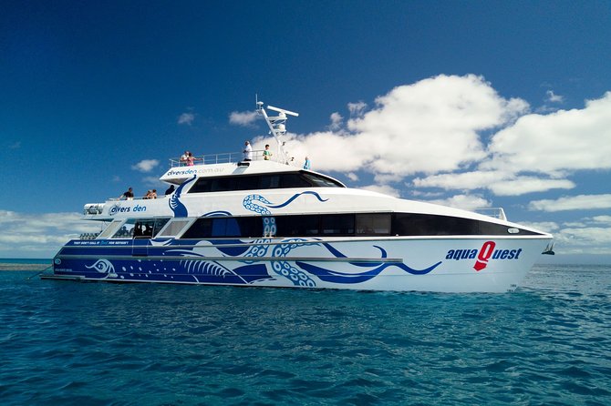 Great Barrier Reef Diving and Snorkeling Cruise From Cairns - Reviews and Responses