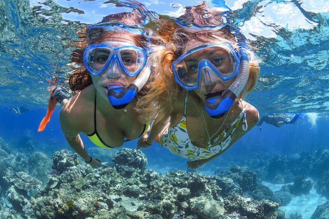 Great Barrier Reef Full-Day Cruise, Scuba Diving & Helicopter  - Cairns & the Tropical North - Highlights and Concerns of the Cruise