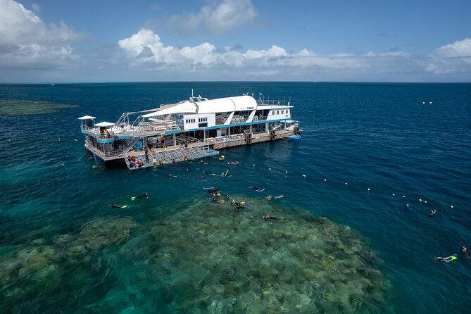 Great Barrier Reef Full-Day Snorkeling Cruise From Cairns  - Cairns & the Tropical North - Customer Reviews and Experiences