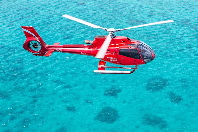 Great Barrier Reef or Rainforest Scenic Flights From Port Douglas - Flight Experiences