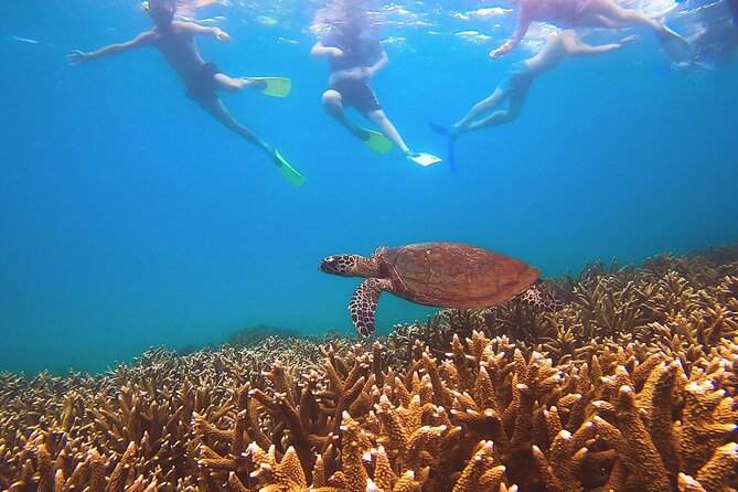 Great Keppel Island Day Trip With Lunch - Directions