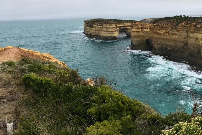 Great Ocean Road 12 Apostles Tour - Traveler Reviews and Feedback