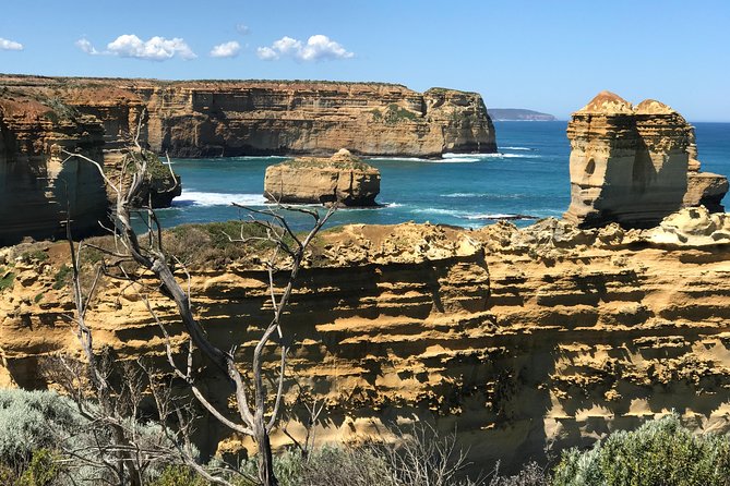 Great Ocean Road Reverse Itinerary Boutique Tour - Max 12 People - Traveler Recommendations