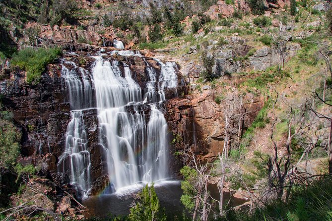 Great Ocean Road to Grampians 2 Day 1 Night Tour From Melbourne to Adelaide - Meeting and Pickup Information